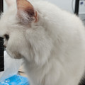 IMG20241230123953.jpg