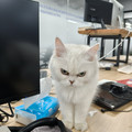 IMG20241230124002.jpg