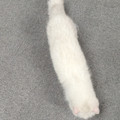 IMG20241230215027_2.jpg