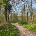 IMG20250404174029.heic