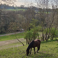 IMG20250404182146.jpg