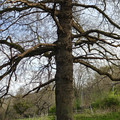 IMG20250404182558.jpg