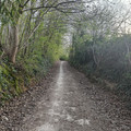 IMG20250404184417.jpg
